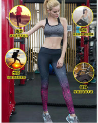 High elasticity yoga/gym pant - Zowpi